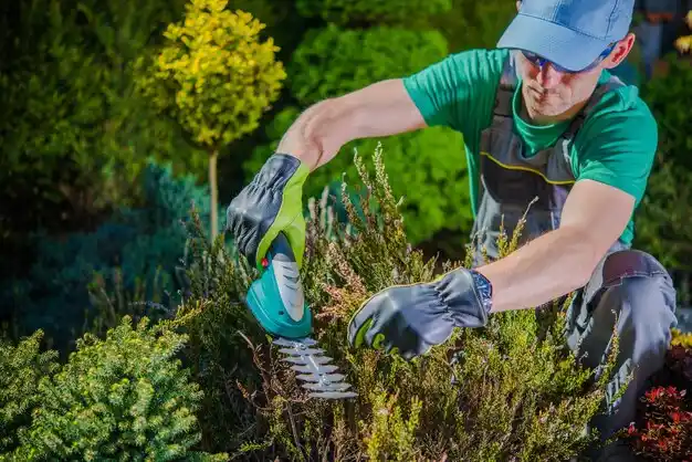 landscaping services Papillion